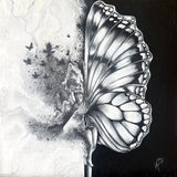 Balancing Metamorphosis