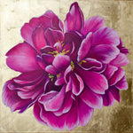 POPULAR PEONY