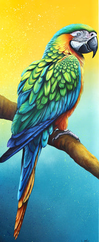 VIBRANT PARROT