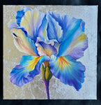 Blooming Iris Painting