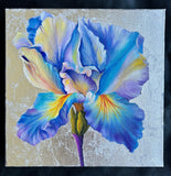 Blooming Iris Painting