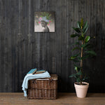 "Humming a sweet succulent" Canvas Print